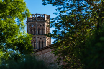 Le clocher, depuis le parc des Jacobins ©OTIduVolvestre